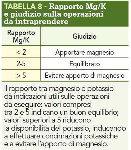 Potassio e Magnesio Al momento dell assorbimento