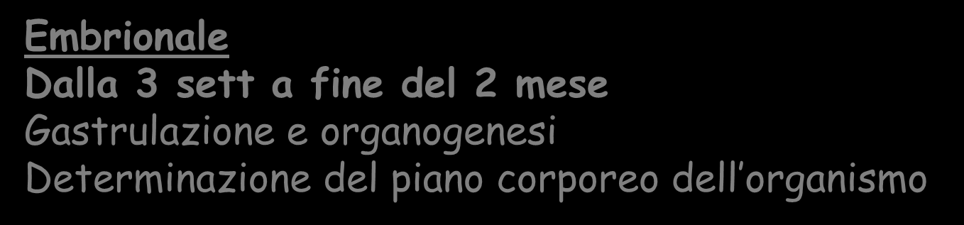 RASSEGNA DELLO SVILUPPO UMANO Embrionale Dalla 3 sett a fine del 2 mese Gastrulazione e organogenesi Determinazione del piano corporeo dell organismo dalla 4a settimana a fine 2 mese Completamento