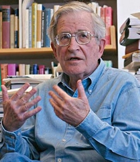Il metodo cognitivo Giovane o anziana? Coppa o profili? Cognitivismo anni 50-60 Naom Chomsky Comportamentismo Vs cognitivismo Competenza linguistica NO mera formazione di abitudini.