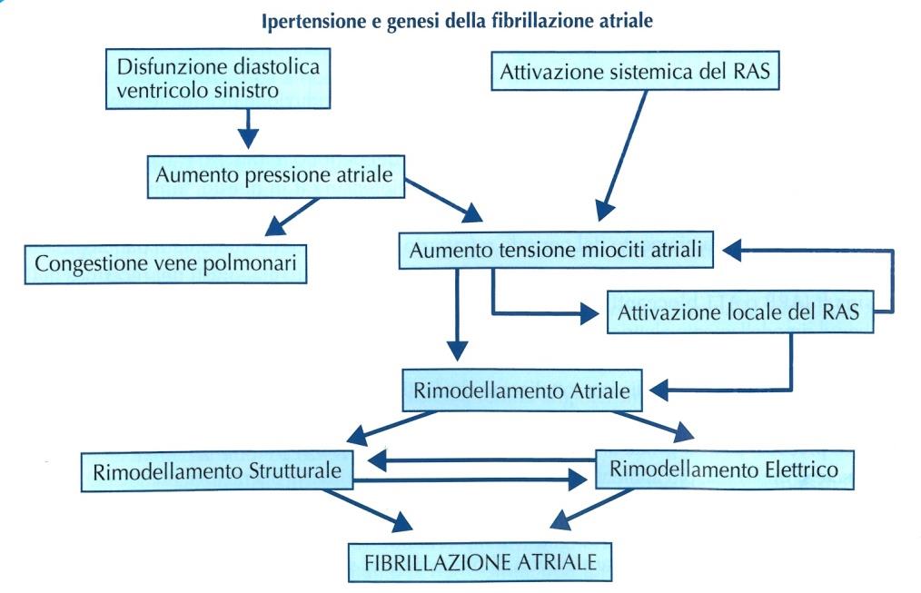 Hypertension is a risk factor for incident (first diagnosed) AF and