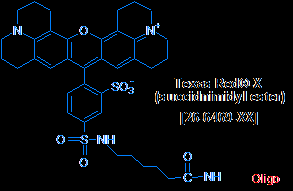 Fluorescent molecules used