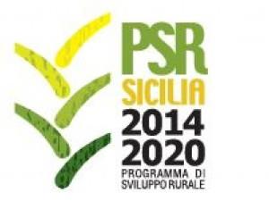 UNIONE EUROPEA FEASR 14 REGIONE SICILIANA ASSESSORATO REGIONALE DELL AGRICOLTURA, DELLO SVILUPPO RURALE E DELLA PESCA MEDITERRANEA G.A.L. TIRRENICO Mare, Monti e Borghi Asse 4 - Attuazione dell approccio Leader Reg.