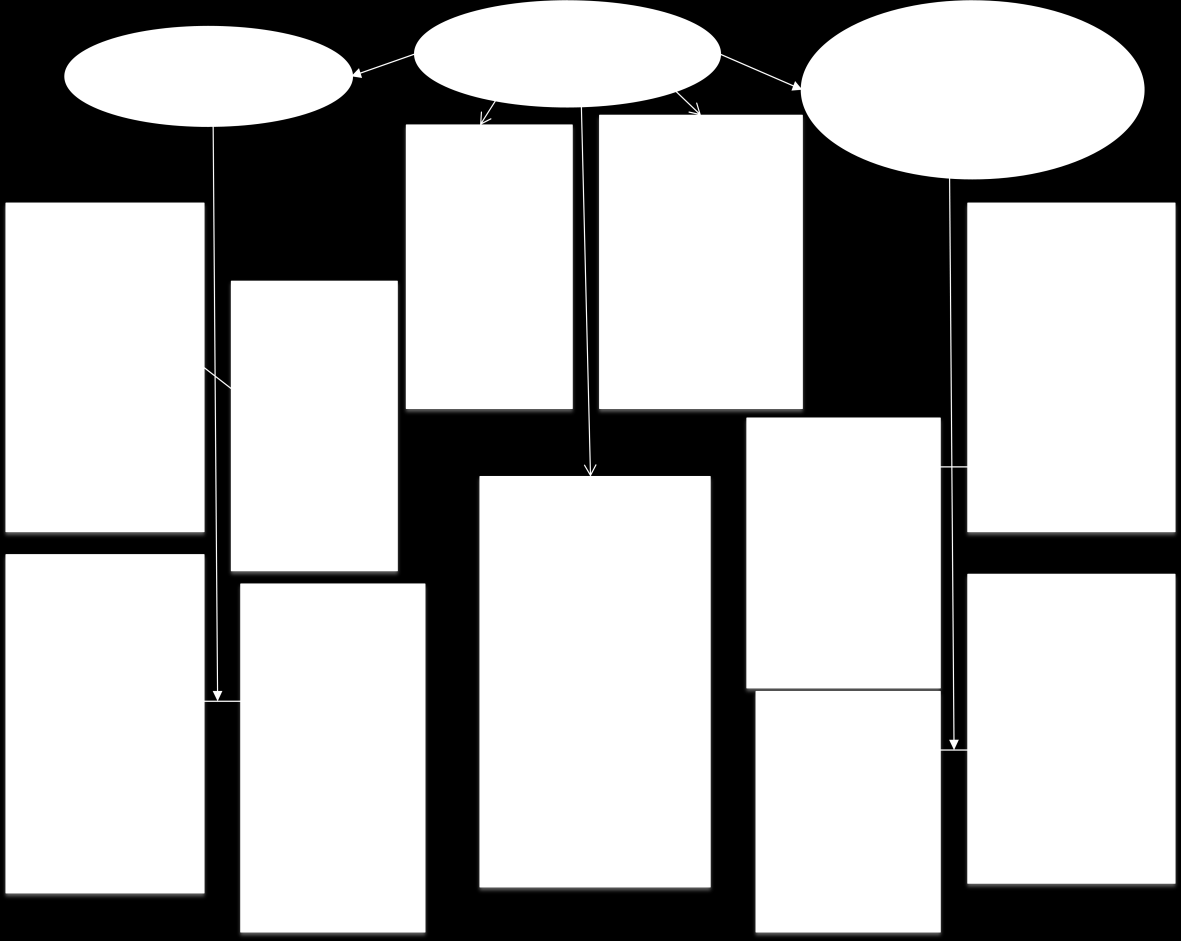Fig.6.1: tassonomia primo modello_oggetti. In rosso le caratteristiche salienti. Alcuni oggetti ombrello, scopa, martello, non fanno parte di una specifica categoria, ma rientrano negli oggetti.