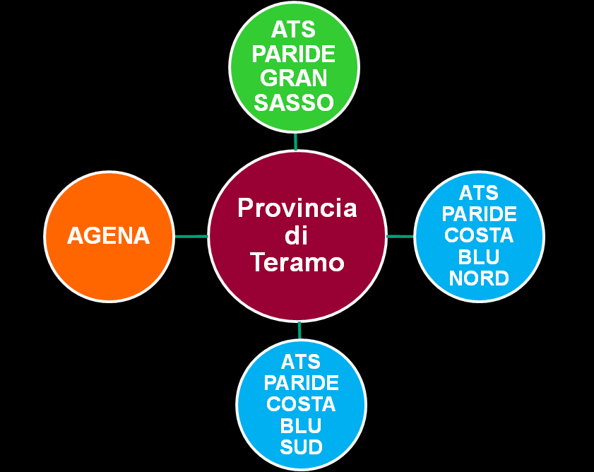 PARTNERS Le ATS sono Associazioni Temporanee di Scopo tra i