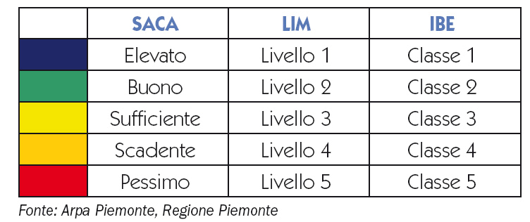 Rete monitoraggio regionale corsi d acqua (DLgs 152/99) 2007: 201 punti Campionamenti mensili: analisi chimiche e microbiologiche Indagini trimestrali: valutazioni IBE Livello Inquinamento da