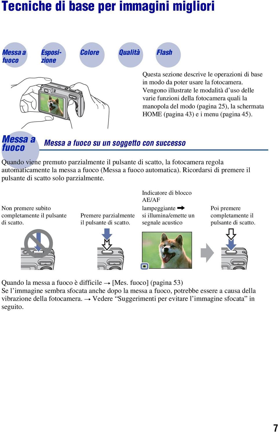 Messa a fuoco Messa a fuoco su un soggetto con successo Quando viene premuto parzialmente il pulsante di scatto, la fotocamera regola automaticamente la messa a fuoco (Messa a fuoco automatica).