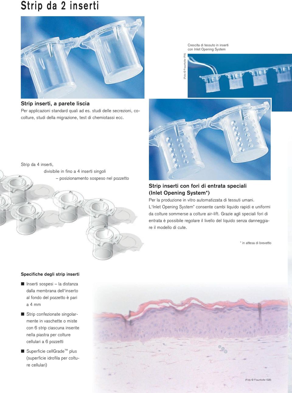 Strip da 4 inserti, divisibile in fino a 4 inserti singoli posizionamento sospeso nel pozzetto Strip inserti con fori di entrata speciali (Inlet Opening System*) Per la produzione in vitro