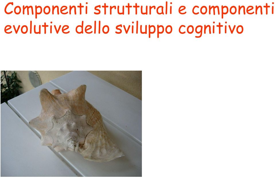 componenti