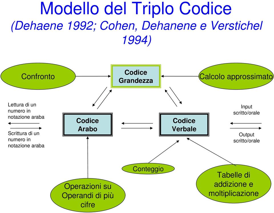 di un numero in notazione araba Codice Arabo Codice Verbale Input scritto/orale Output