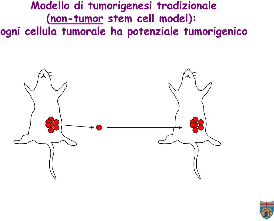 cell model): ogni cellula