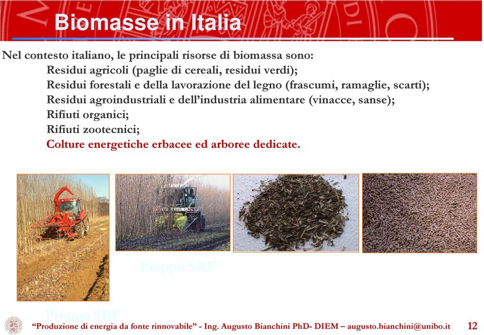 ramaglie, scarti); Residui agroindustriali e dell industria alimentare (vinacce, sanse); Rifiuti