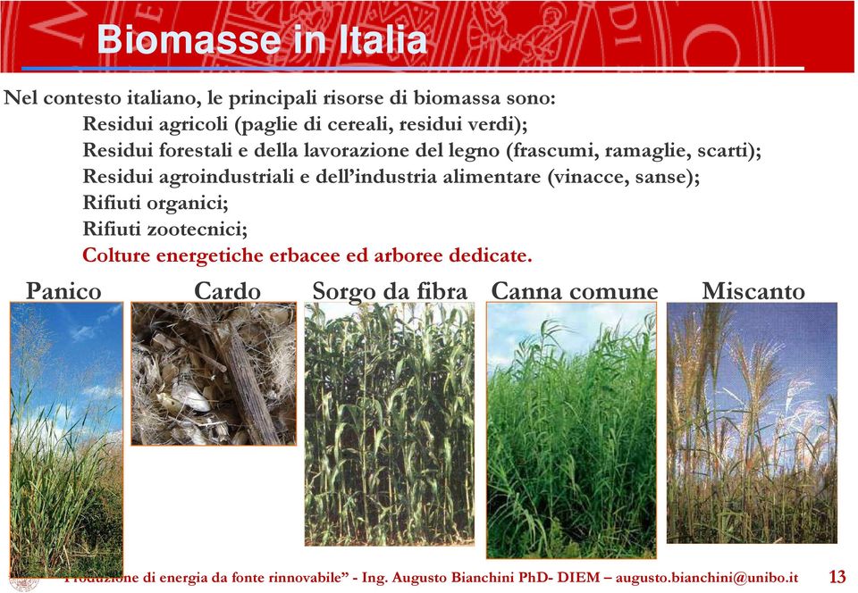 scarti); Residui agroindustriali e dell industria alimentare (vinacce, sanse); Rifiuti organici; Rifiuti