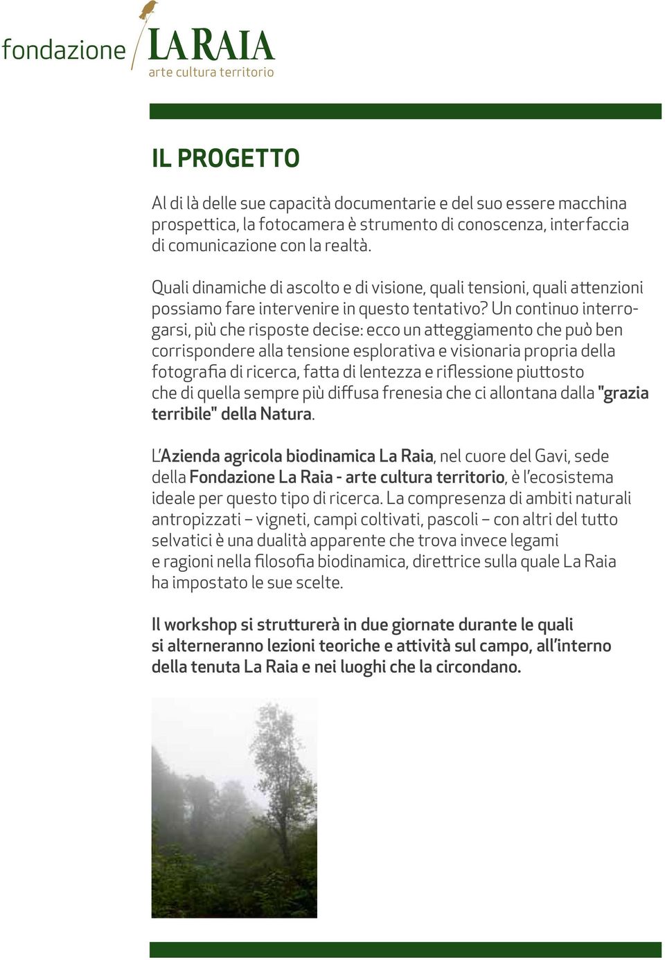 Un continuo interrogarsi, più che risposte decise: ecco un atteggiamento che può ben corrispondere alla tensione esplorativa e visionaria propria della fotografia di ricerca, fatta di lentezza e