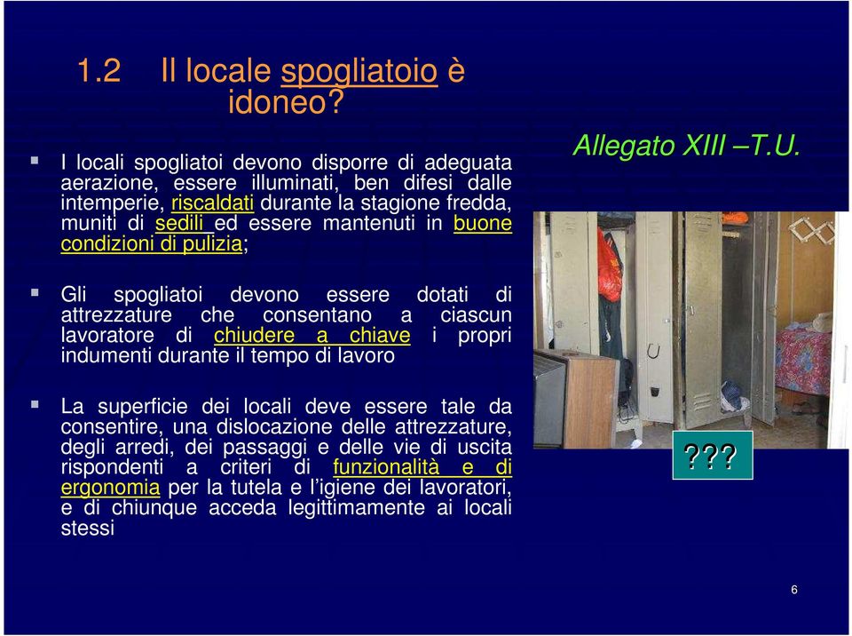 mantenuti in buone condizioni di pulizia; Allegato XIII T.U.