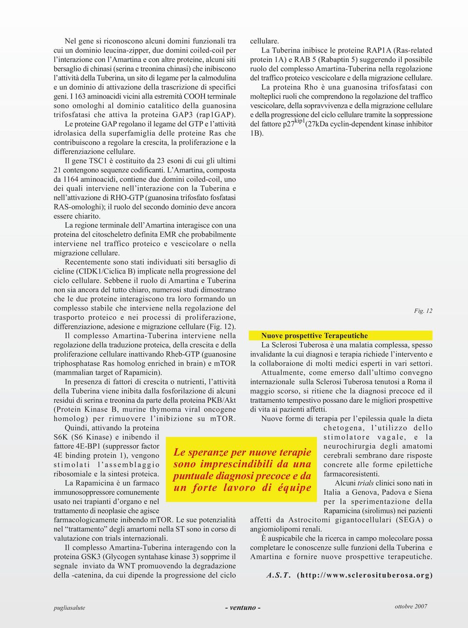 I 163 aminoacidi vicini alla estremità COOH terminale sono omologhi al dominio catalitico della guanosina trifosfatasi che attiva la proteina GAP3 (rap1gap).