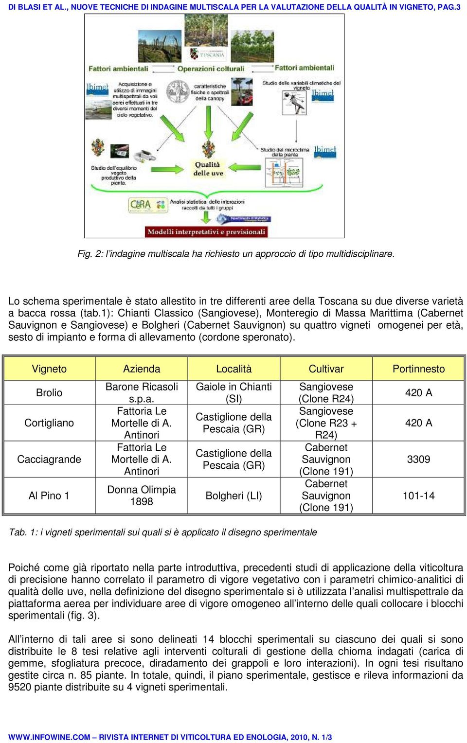 1): Chianti Classico (Sangiovese), Monteregio di Massa Marittima (Cabernet Sauvignon e Sangiovese) e Bolgheri (Cabernet Sauvignon) su quattro vigneti omogenei per età, sesto di impianto e forma di