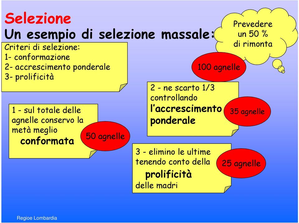 2 - ne scarto 1/3 controllando 100 agnelle l accrescimento ponderale 3 - elimino le ultime tenendo