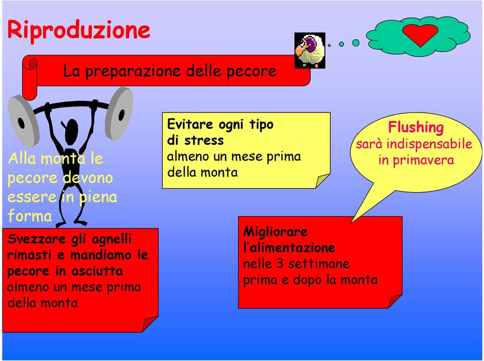 della monta Evitare ogni tipo di stress almeno un mese prima della monta Migliorare l