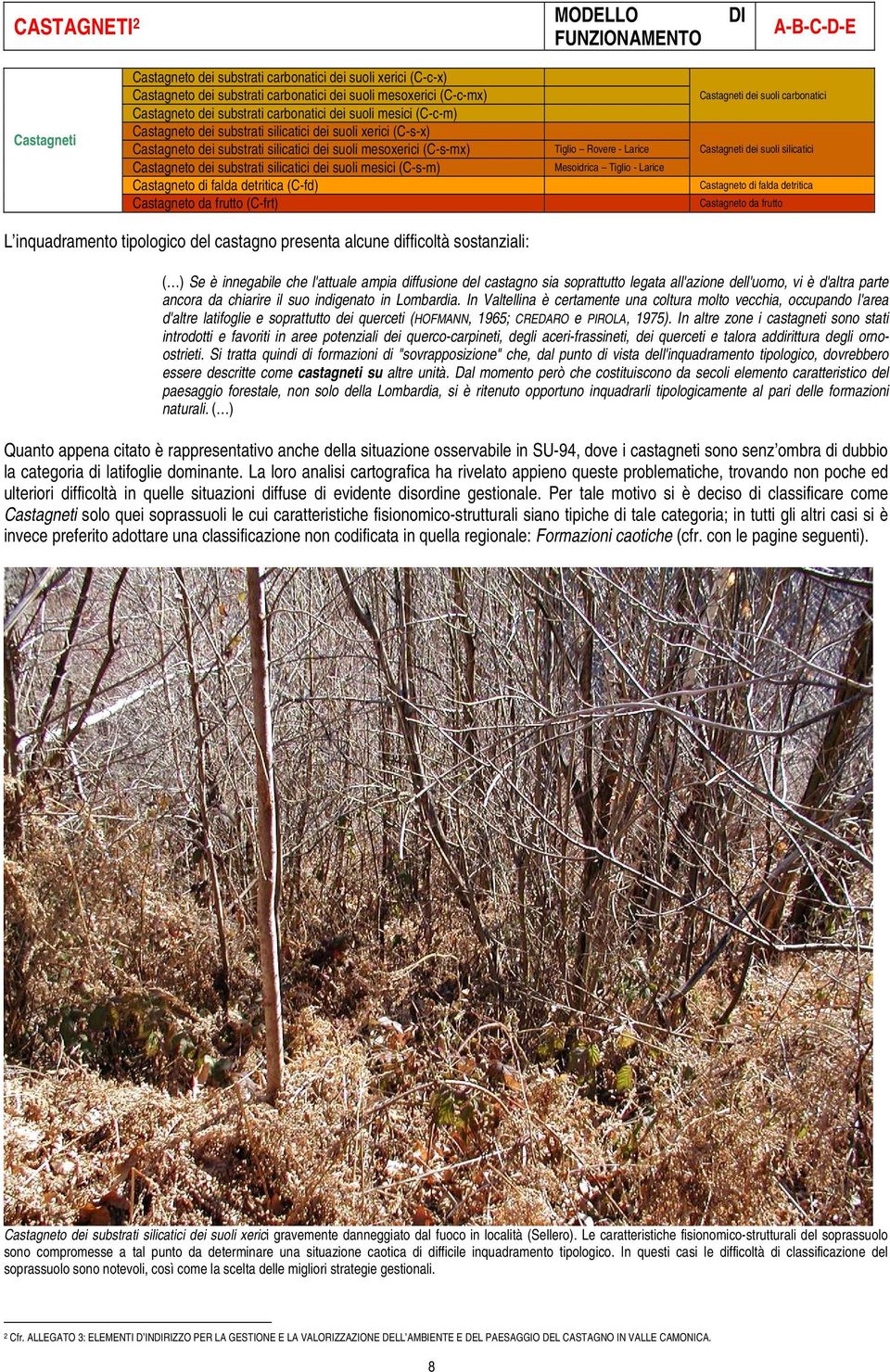 substrati silicatici dei suoli mesici (C-s-m) Castagneto di falda detritica (C-fd) Castagneto da frutto (C-frt) Tiglio Rovere - Larice Mesoidrica Tiglio - Larice Castagneti dei suoli carbonatici