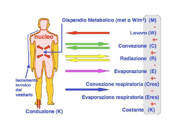 Modello di Comfort di Fanger Equazione di Bilancio L organismo tende a permanere in condizioni di equilibrio omeotermo (S = 0), ovvero che: potenza ceduta all ambiente = potenza