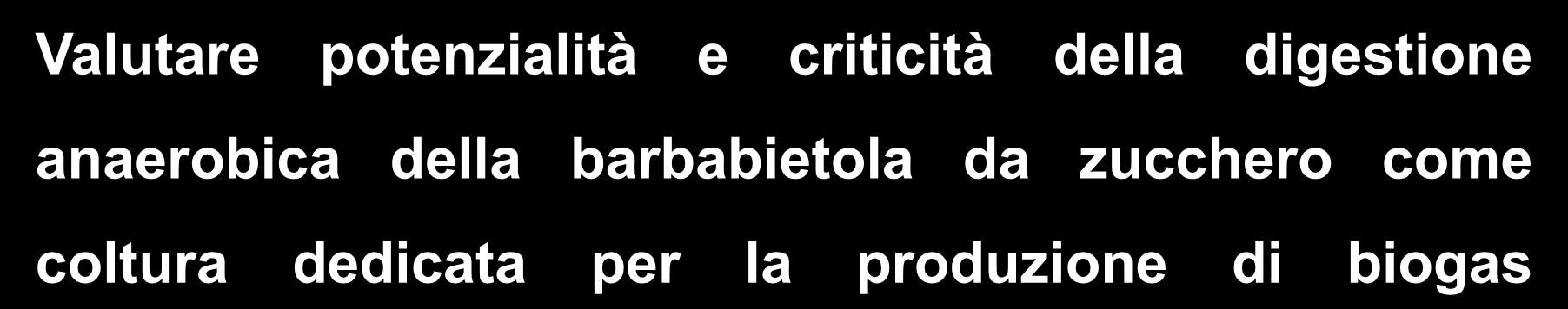 OBIETTIVO DELLA RICERCA Valutare potenzialità e criticità della digestione