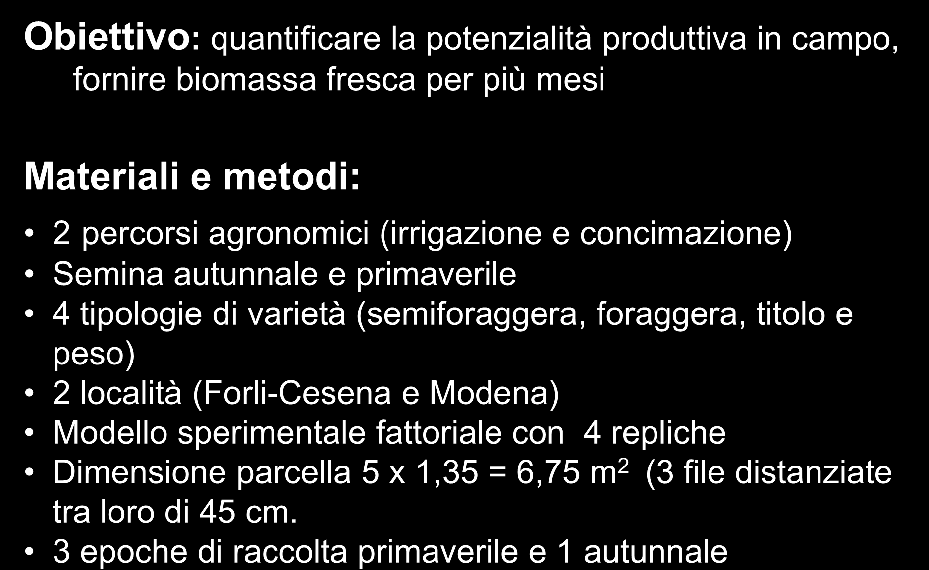 PROVA AGRONOMICA Obiettivo: quantificare la potenzialità produttiva in campo, fornire biomassa fresca per più mesi Materiali e metodi: 2 percorsi agronomici (irrigazione e concimazione) Semina