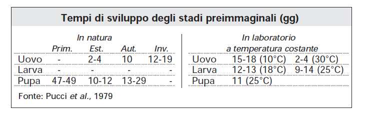 FATTORI LIMITANTI DELLA MOSCA DELLE OLIVE 1/2 Fattori climatici Uova La soglia termica inferiore è compresa tra i 6 e gli 8,2 C, mentre quella superiore è in natura di 34-35 C.