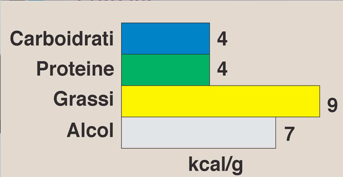 4. DICHIARAZIONE NUTRIZIONALE Sono obbligatorie indicazioni su: Valore energetico ( 100 g/100