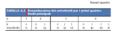 l principale, n, 1; individua i livelli di energia possibili. orbitale, l; 0 l (n-1); geometria della regione dello spazio in cui è più probabile trovare l elettrone.