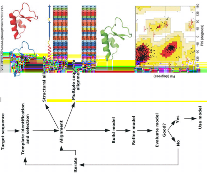 Figura 14: Protocollo seguito nel Comparative Modeling Ab initio (o novel fold) Ab initio è un metodo che non utilizza templati, ma cerca di costruire una struttura modello basata sulle proprietà