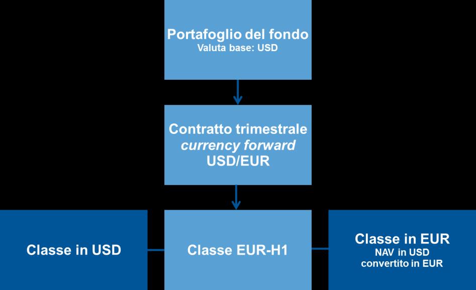 3. La classe EUR-H1 Questa classe è stata creata per eliminare il rischio di cambio sul NAV per gli investitori europei, la cui valuta di investimento è l euro.