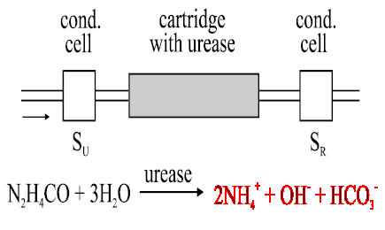 Determinazione dell urea con ureasi UREASI è un enzima che catalizza l idrolisi dell urea in biossido di carbonio e ammoniaca.