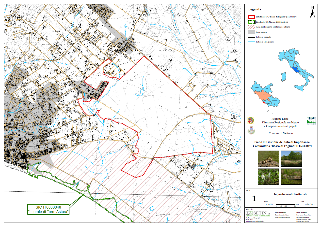 Il Bosco di Foglino Il SIC (Sito di Importanza Comunitaria) Bosco di Foglino, IT6030047, è situato nel Comune di Nettuno in provincia di Roma e con i suoi 552 ettari è un esempio di bosco sub urbano,