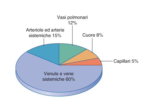 SISTEMA VENOSO: UN SERBATOIO DI VOLUME Le vene funzionano come un "deposito", dove è possibile prelevare una quantità di sangue