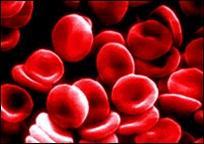 FISIOPATOLOGIA DEL SANGUE: ESAME