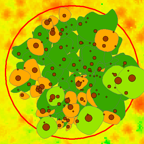 posizione e diametri dei singoli alberi Rilievo