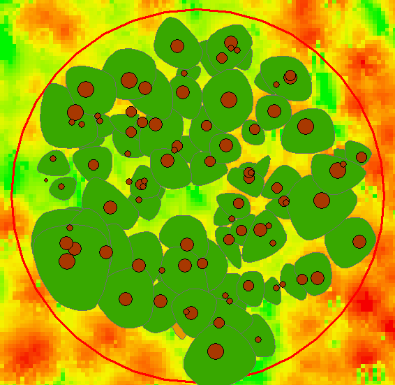 posizione e diametri dei singoli alberi Rilievo