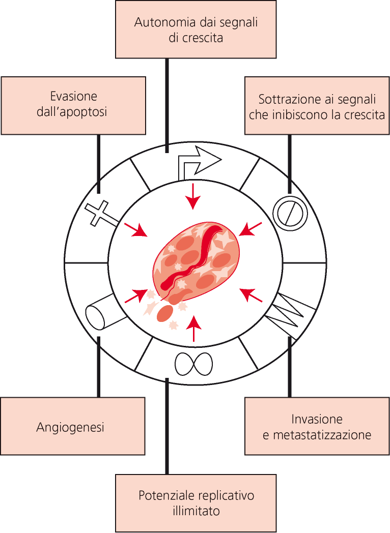 Le 6 proprietà