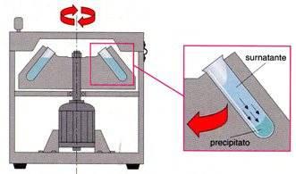 CENTRIFUGAZIONE La centrifugazione è un processo che separa i componenti di una miscela sfruttando la loro differente densità.