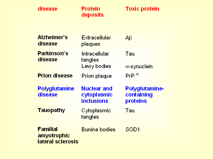 Biofisica