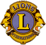 Lions Club Ravenna Dante Alighieri Distretto 108/A - 1^ Circoscrizione - Zona B Presidente Vincenzo Rivizzigno Governatore: Giulietta Bascioni Brattini Sulle Ali della Solidarietà OGGETTO: