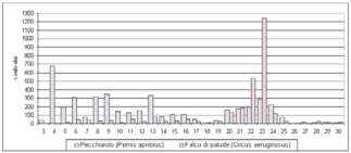 Calabria La migrazione post-riproduttiva dei rapaci nel Parco Nazionale dell Aspromonte (RC) S.Cutini, C. Cardelli, G. Chiofalo - Fondazione Mediterranea Falchi H.