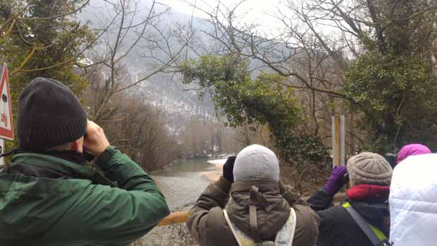 Fig. 4 I rilevatori in azione, concentrati su airone cenerino e gallinella d acqua (foto Alida Vagni).