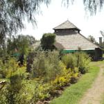 Overlooking Lake Elementaita, The Pelican Lodge features an outdoor pool, restaurant and bar. Nestled within a lush haven, the lodge offers walking safaris and cultural visits.