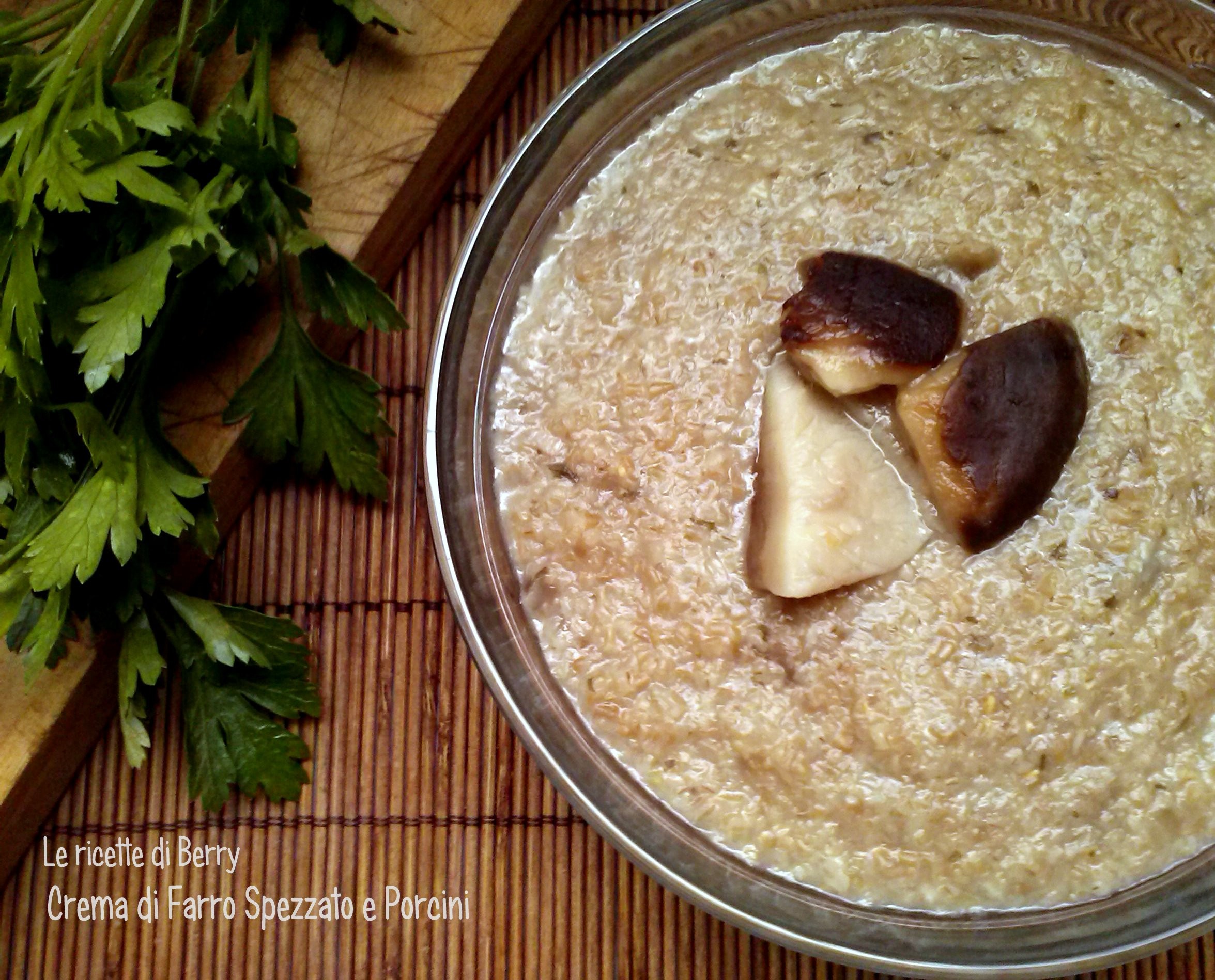 Crema di Farro Spezzato e Funghi Porcini 200 gr di farro spezzato 150 gr di funghi porcini (o misti) surgelati prezzemolo 1/2 lt br