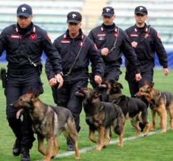 La Nuova Ferrara Edizione: giovedì 18/8/2011 anche on-line sul sito de La Nuova Ferrara La Nuova Ferrara > Cronaca > Carabinieri,