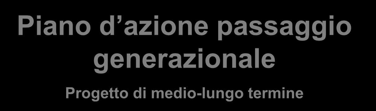 L approccio proposto per il passaggio gestionale Governance Societaria & Strategia aziendale Struttura Organizzativa Processi di