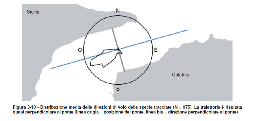 VIAC054_.doc Euplagia quadripunctaria, Bufo balearicus, Rana italica, Discoglossus pictus e tutte le specie di chirotteri.