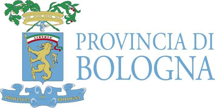 INCIDENTI STRADALI NELLA PROVINCIA DI BOLOGNA ANNO 2013 (dati provvisori) Ufficio di