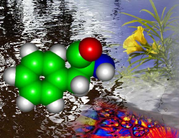 L AZIONE AUXYM DI AUXYM L azione di AUXYM deriva dalla concentrazione di sostanze naturali biologicamente attive quali aminoacidi, vitamine, enzimi, fitochelatine, acidi umici, macro e microelementi